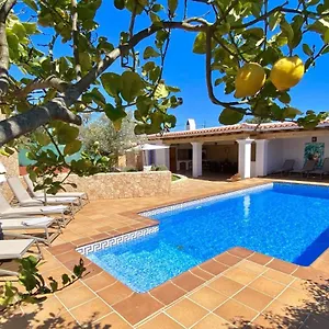  Villa Palmera